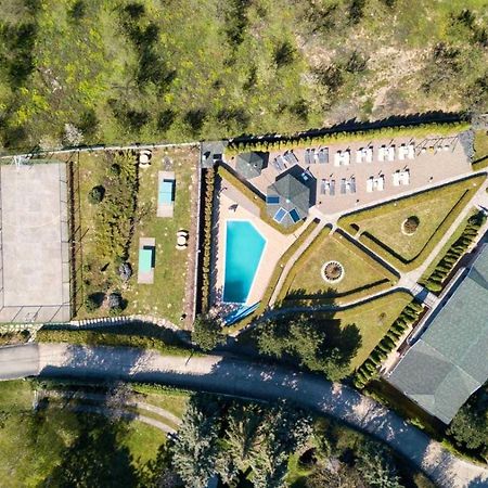 Suncani Breg Apartments Vrdnik Bagian luar foto